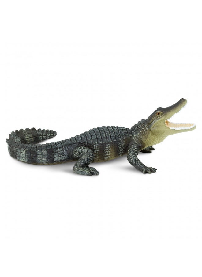 Safari Ltd. Wildlife Collection - Realistic Alligator Toy Figure - Non-Toxic and BPA Free - Ages 3 and Up