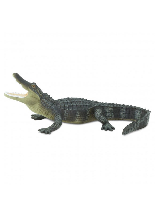 Safari Ltd. Wildlife Collection - Realistic Alligator Toy Figure - Non-Toxic and BPA Free - Ages 3 and Up