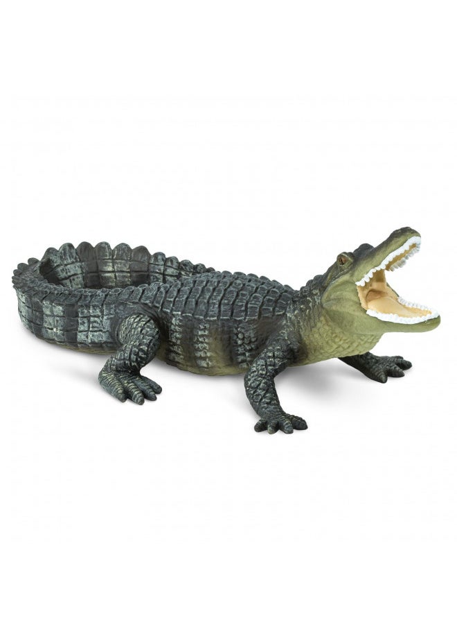 Safari Ltd. Wildlife Collection - Realistic Alligator Toy Figure - Non-Toxic and BPA Free - Ages 3 and Up