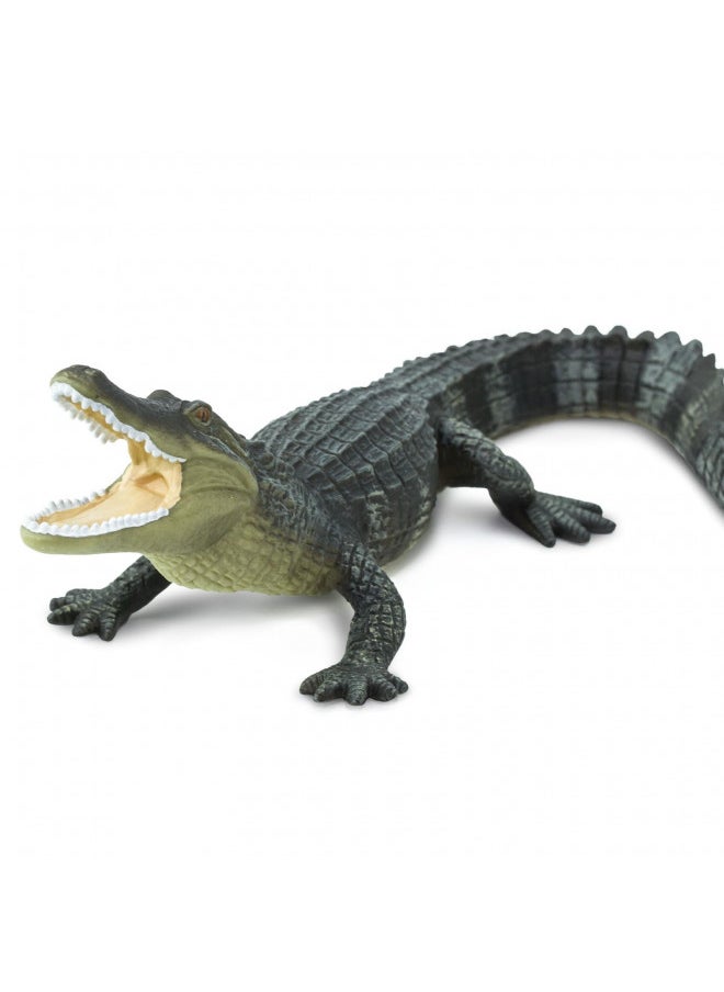 Safari Ltd. Wildlife Collection - Realistic Alligator Toy Figure - Non-Toxic and BPA Free - Ages 3 and Up