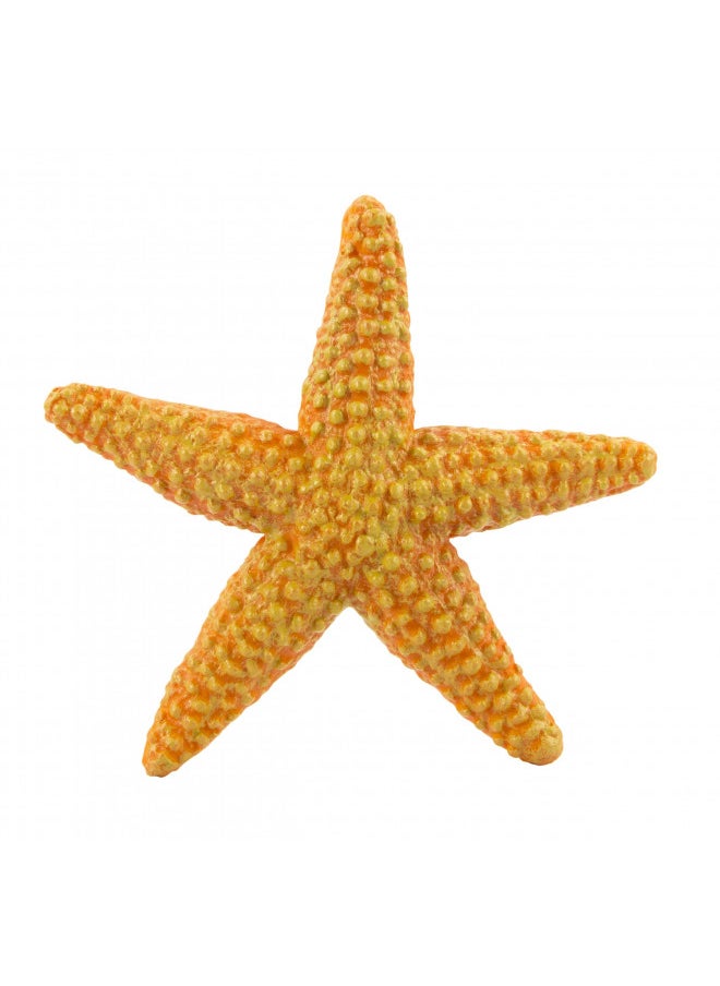 Safari Ltd Wild Safari Sea Life Starfish