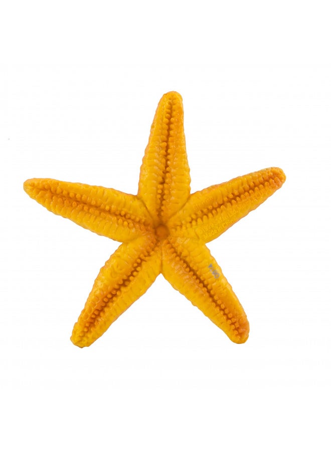 Safari Ltd Wild Safari Sea Life Starfish