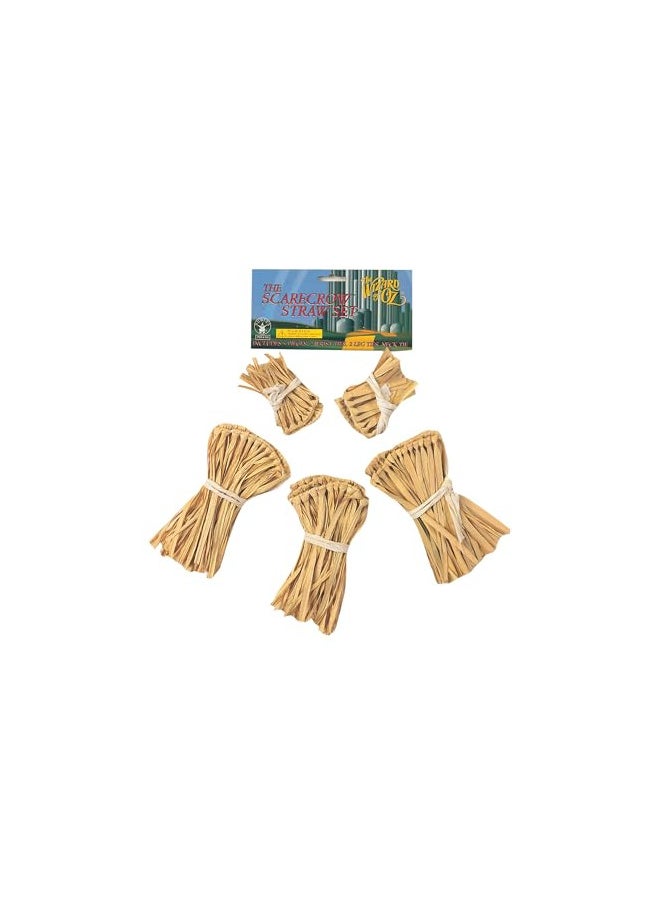 Wizard of Oz Straw Kit Costume Accessory