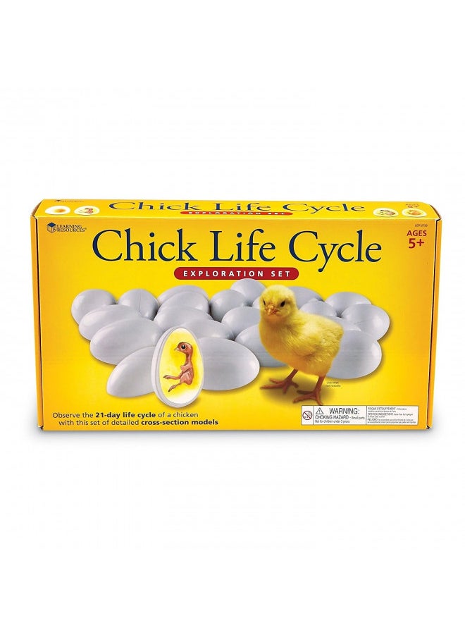 Unisex Children Learning Resources Chick Life Cycle Exploration Set