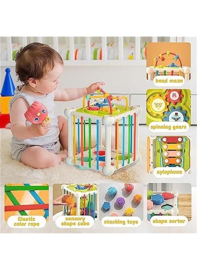 5 in 1 Baby Toys 6 to 12 Months, Montessori Sensory Toys Shape Sorter Colorful Cube with 10 Pcs Stacking Toys,Developmental Learning Toys for Girls Boys Gifts