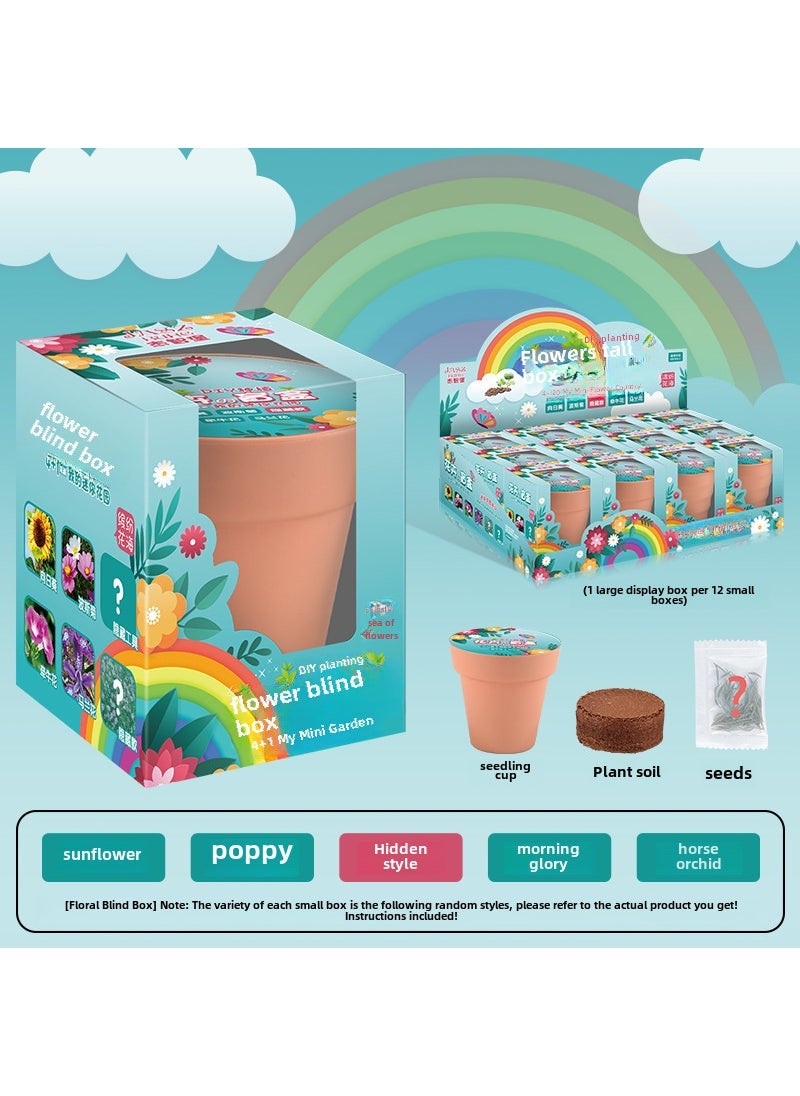 Kids DIY Planting Craft Kit Blind Box Flower blind box (option: 1 small box, 12 small boxes and 1 display box)