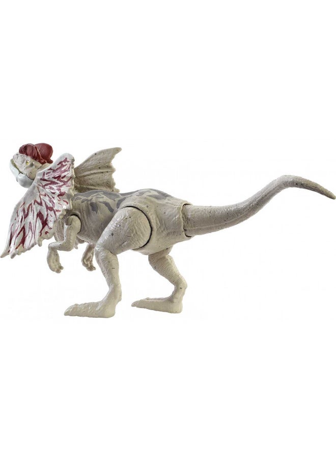 Jurassic World Fierce Force Dilophosaurus Dinosaur Action Figure Movable Joints, Realistic Sculpting & Single Strike Feature, Kids Gift Ages 3 Years & Older