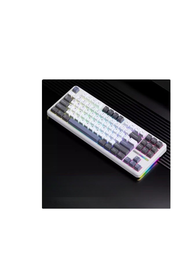 87 Key Mechanical Keyboard - Gasket Structure - Full Key Hot Swappable - RGB Lights - Wireless Bluetooth Connection - Gaming Keyboard And Office Keyboard