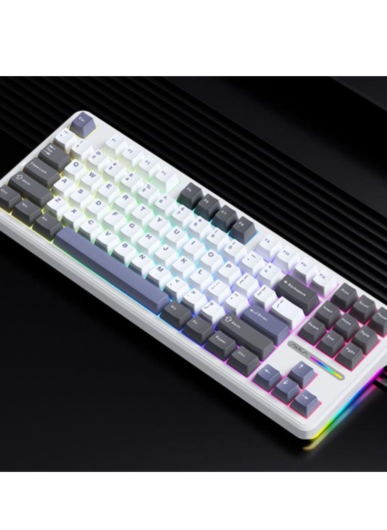 87 Key Mechanical Keyboard - Gasket Structure - Full Key Hot Swappable - RGB Lights - Wireless Bluetooth Connection - Gaming Keyboard And Office Keyboard