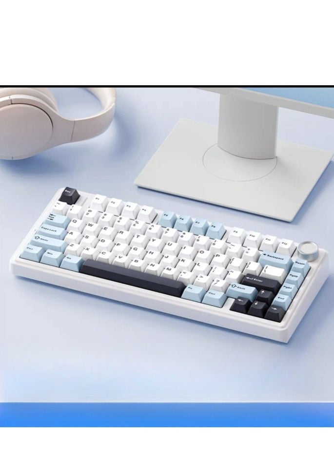 80 Key Mechanical Keyboard - Gasket Structure - Full Key Hot Swappable - RGB Lights - Wireless Bluetooth Connection - Gaming Keyboard And Office Keyboard