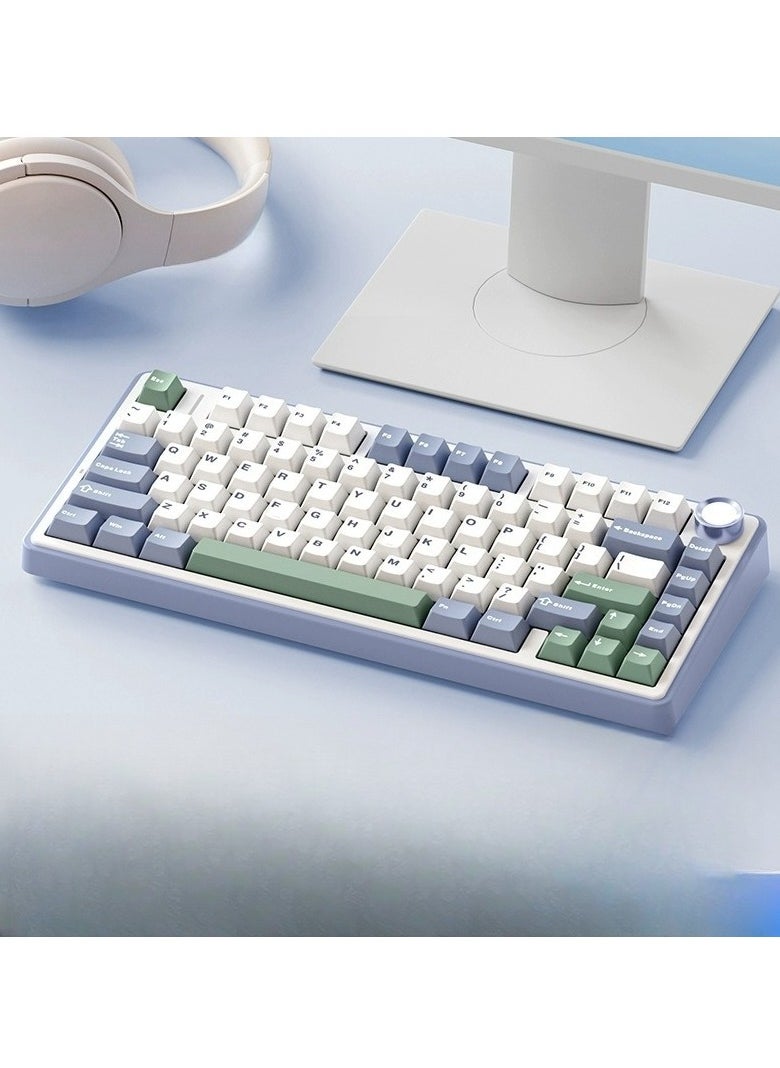 80 Key Mechanical Keyboard - Gasket Structure - Full Key Hot Swappable - RGB Lights - Wireless Bluetooth Connection - Gaming Keyboard And Office Keyboard