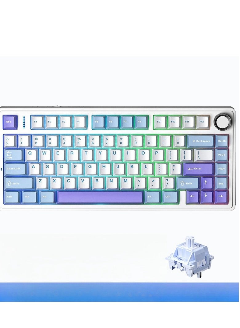 80 Key Mechanical Keyboard - Gasket Structure - Full Key Hot Swappable - RGB Lights - Wireless Bluetooth Connection - Gaming Keyboard And Office Keyboard