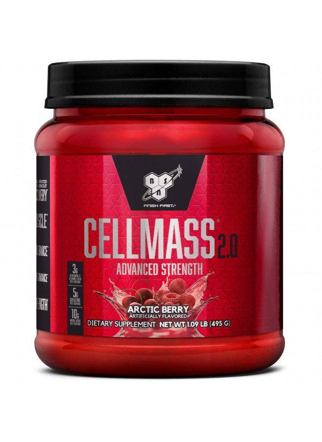 BSN CELLMASS 2.0 Post Workout Recovery with BCAA, Creatine, & Glutamine - Keto Friendly - Arctic Berry, (25 Servings) (1048058)