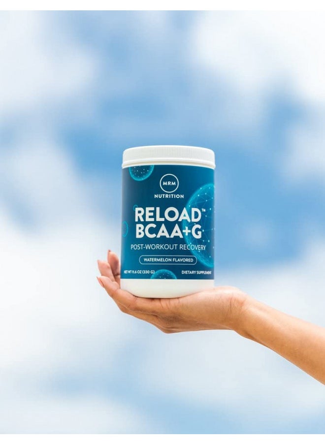 MRM Nutrition Reload BCAA+G Post-Workout Recovery | Watermelon Flavored | 9.6g Amino Acids | with CarnoSyn® | Muscle Recovery | Keto Friendly | 26 Servings