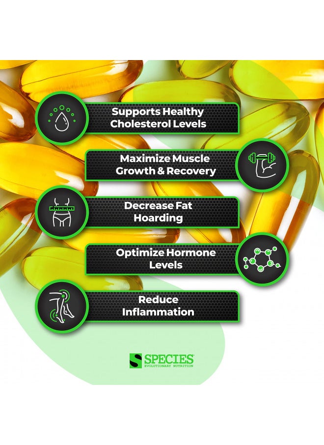 Species Nutrition Omegalyze Support Supplements, Essential Fatty Acid Formula, Supplement to Help Maximize Recovery, Omega 3,6 and 7 Formula,180 Capsules