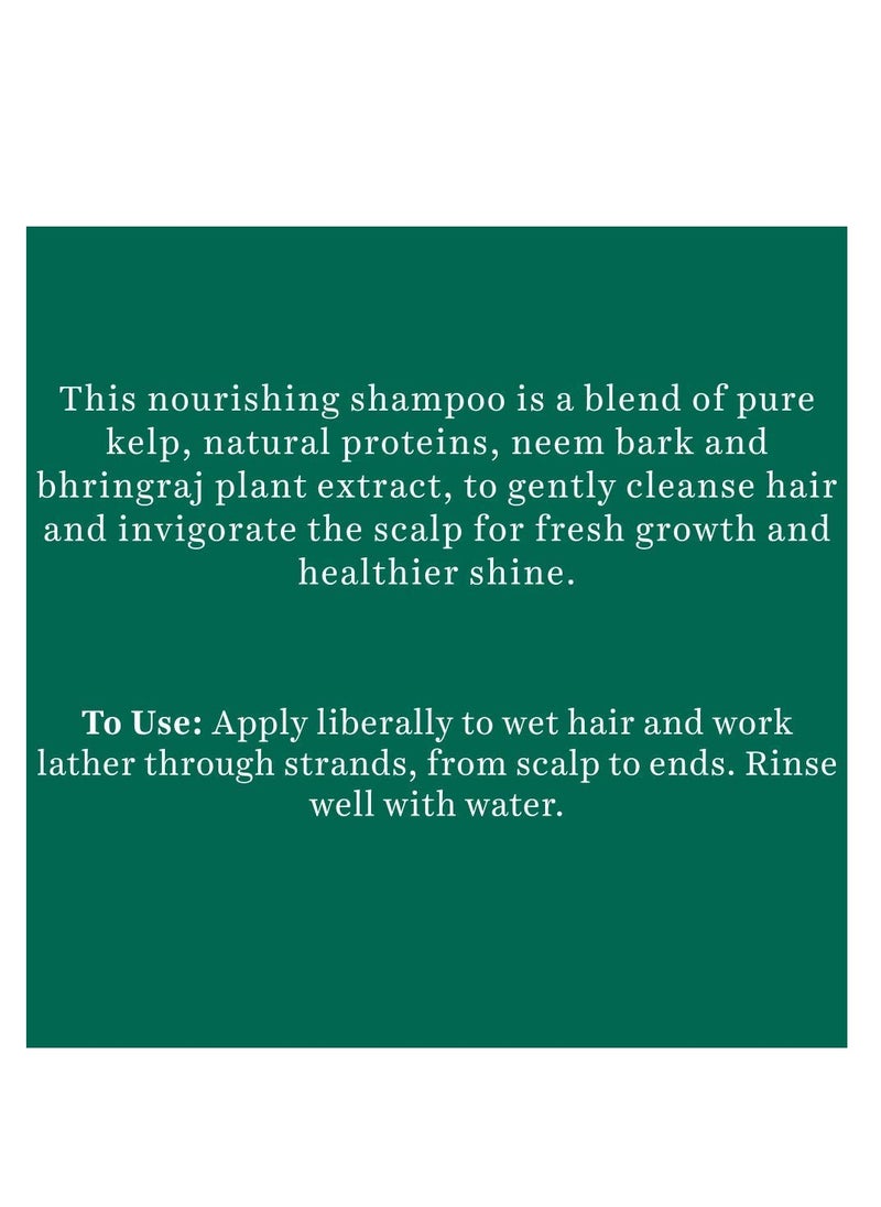 Biotique Ocean Kelp Anti Hairfall Shampoo | Intensive Hair Growth Therapy| Anti Hairfall Shampoo that Maintains Shine |100% Botanical Extracts | Suitable for All Hair Types |650ml