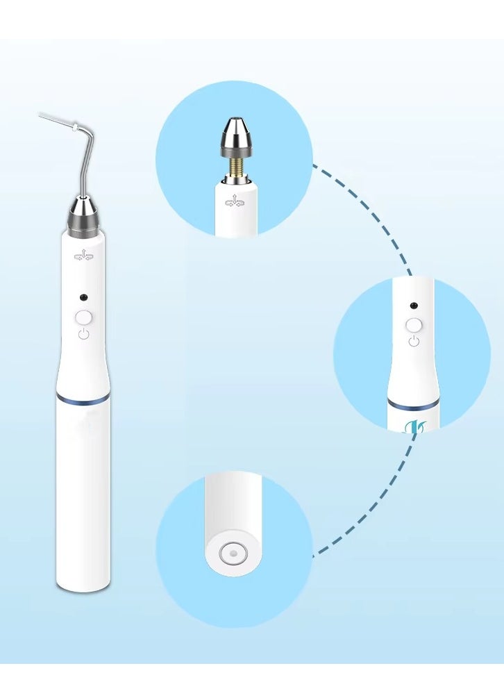 Dental Cordless Wireless Gutta Percha Obturation System Endo Heated Pen 2 Tips Wireless for Root Canal Filling Obturation Filling