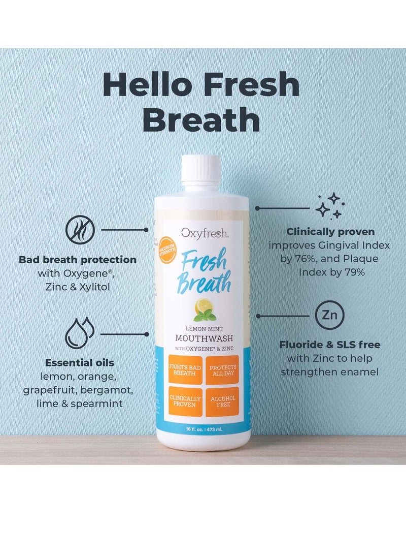 Oxyfresh Premium Lemon Mint Fresh Breath Mouthwash – Oral Rinse for Bad Breath – SLS & Fluoride Free Mouthwash – Alcohol Free, Gentle Non Burning Mouthwash with Xylitol & Essential Oils, 16 oz