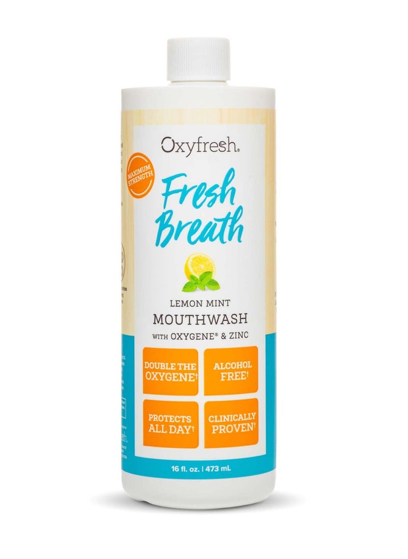 Oxyfresh Premium Lemon Mint Fresh Breath Mouthwash – Oral Rinse for Bad Breath – SLS & Fluoride Free Mouthwash – Alcohol Free, Gentle Non Burning Mouthwash with Xylitol & Essential Oils, 16 oz