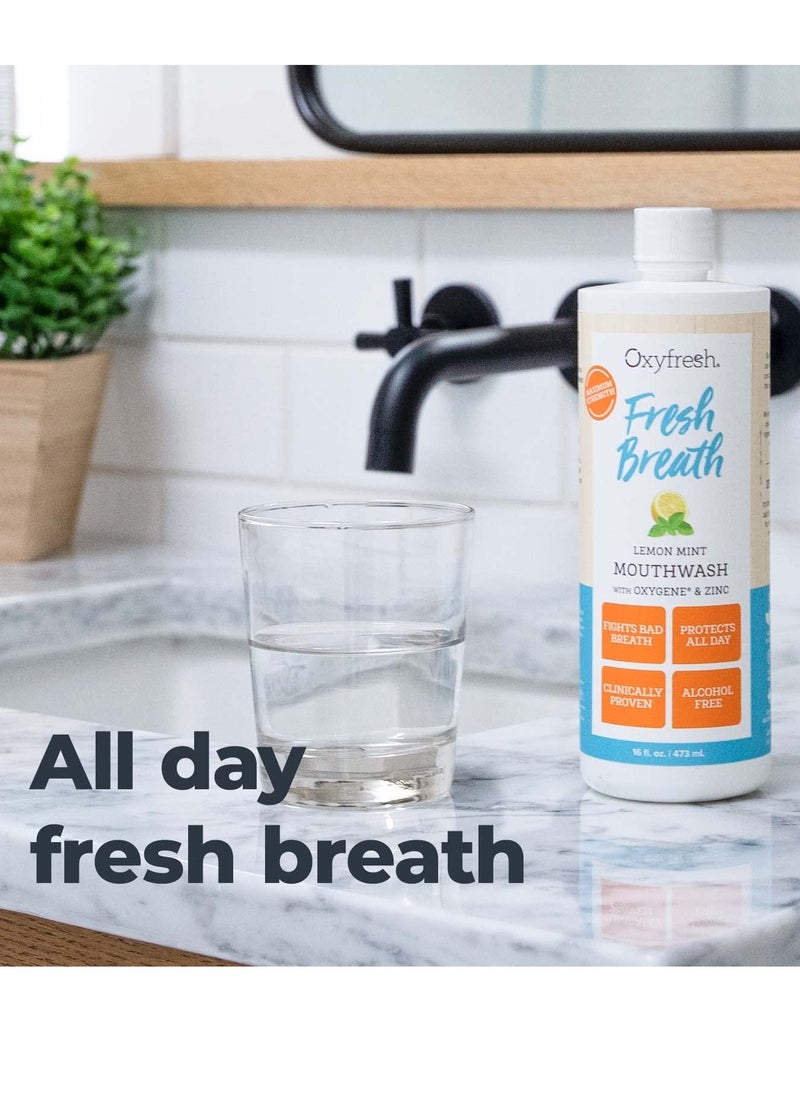 Oxyfresh Premium Lemon Mint Fresh Breath Mouthwash – Oral Rinse for Bad Breath – SLS & Fluoride Free Mouthwash – Alcohol Free, Gentle Non Burning Mouthwash with Xylitol & Essential Oils, 16 oz