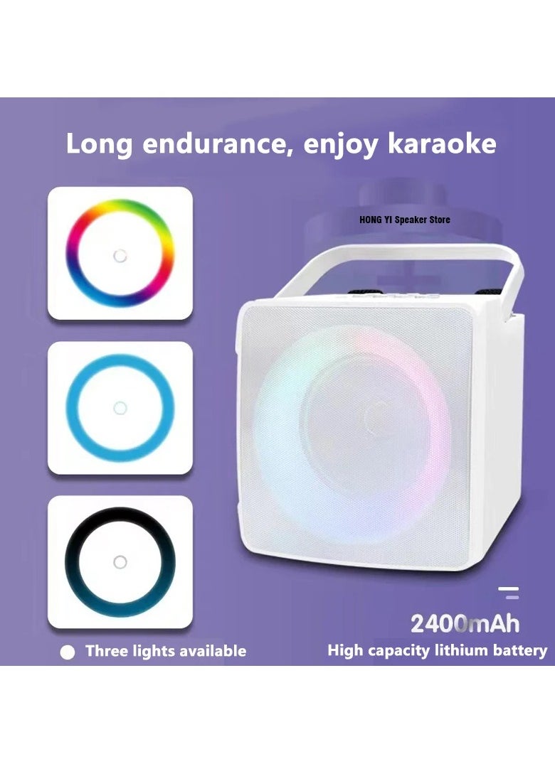 SD-508 New Mini Karaoke RGB Speaker with Dual Microphone