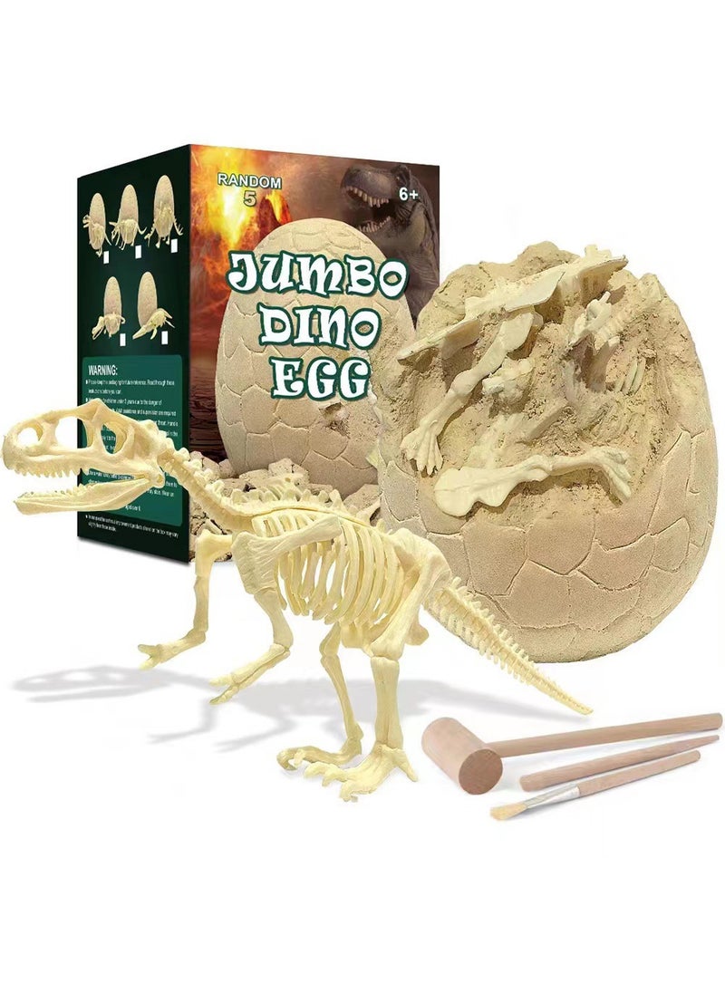 Kids Dinosaur Egg Excavation Kit Educational Toy Dinosaur skeleton