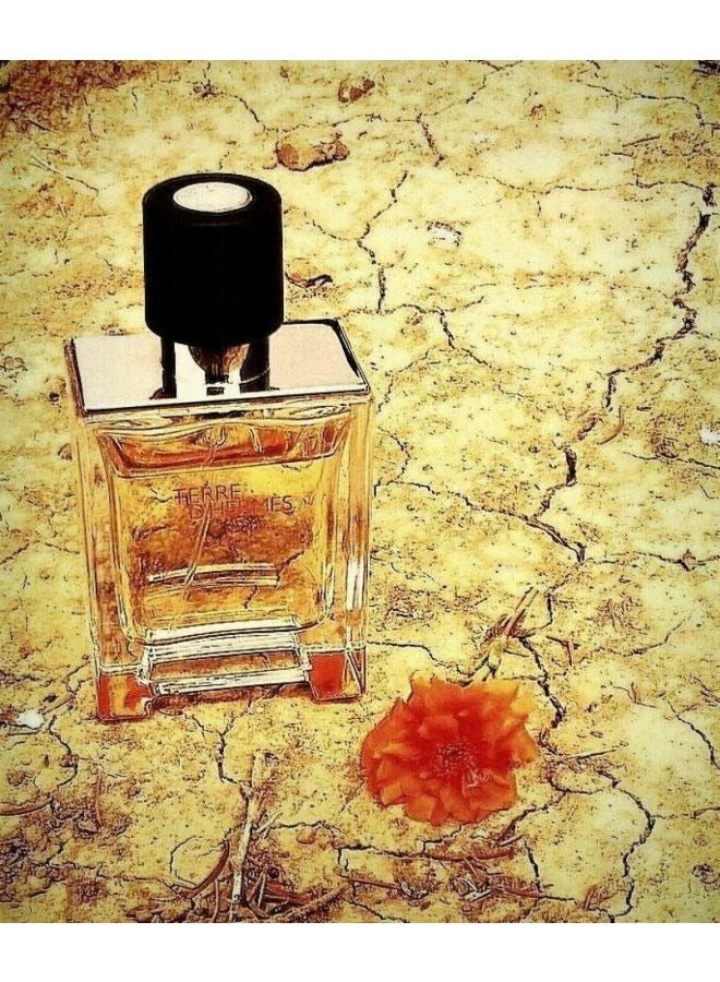 Terre D EDT Spray 200ml