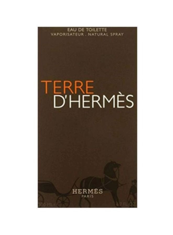Terre D EDT Spray 200ml