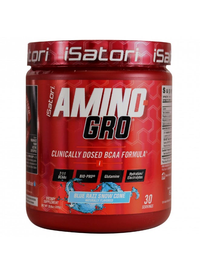 iSatori Amino-GRO BCAA Powder - Branched Chain Amino Acid Formula with Glutamine and Bio-GRO Bio-Active Peptides - Essential Amino Energy for Women and Men - Blue Razz Snow Cone (30 Servings)