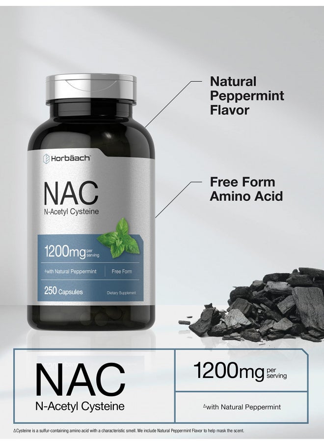 Horbäach NAC N-Acetyl Cysteine Supplement 1200mg | 250 Capsules | with Natural Peppermint | Non-GMO, Gluten Free