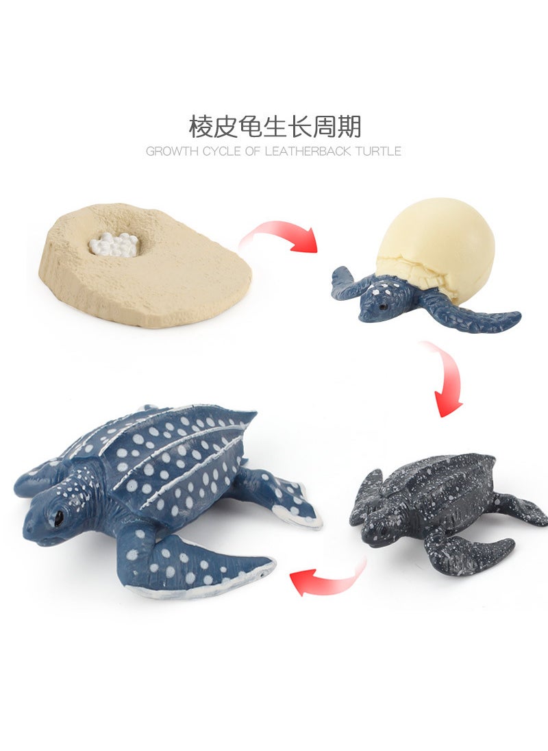 1 x 5 pcs Realistic Galapagos Tortoise Model Set ZQ2425 leatherback turtle growth cycle 99.5g