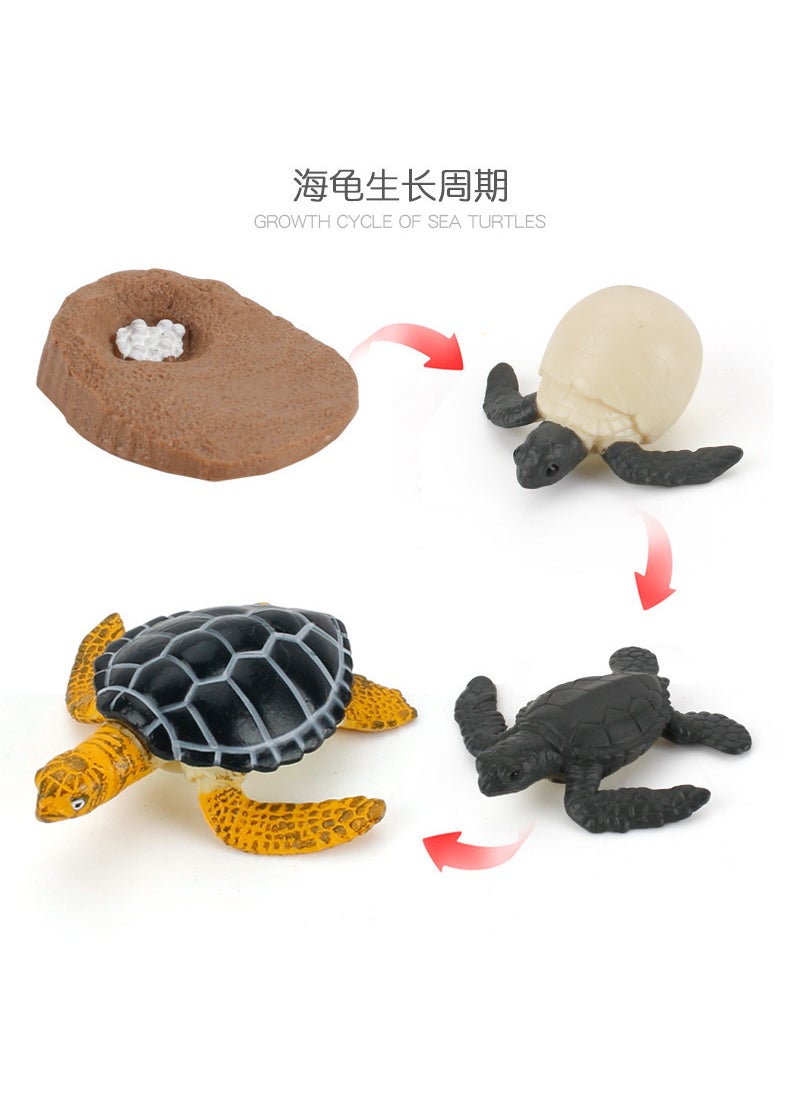 1 x 5 pcs Realistic Galapagos Tortoise Model Set SZ665-101 turtle growth cycle 62g