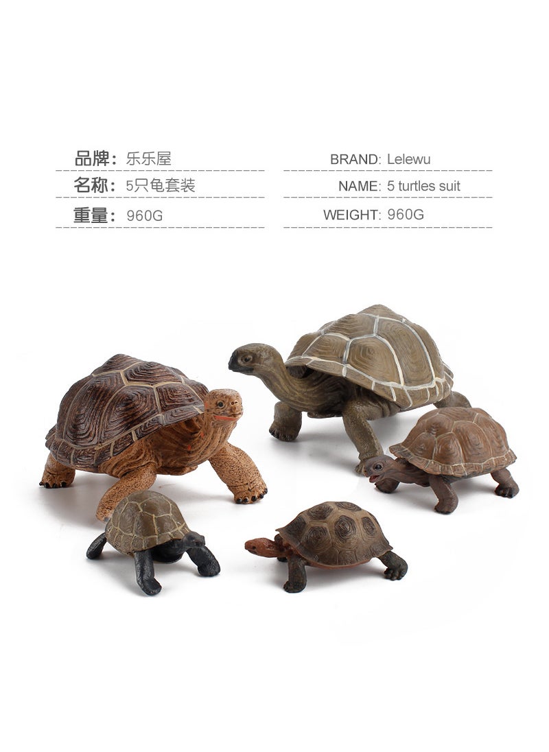 1 x 5 pcs Realistic Galapagos Tortoise Model Set 5 turtles suit 960g