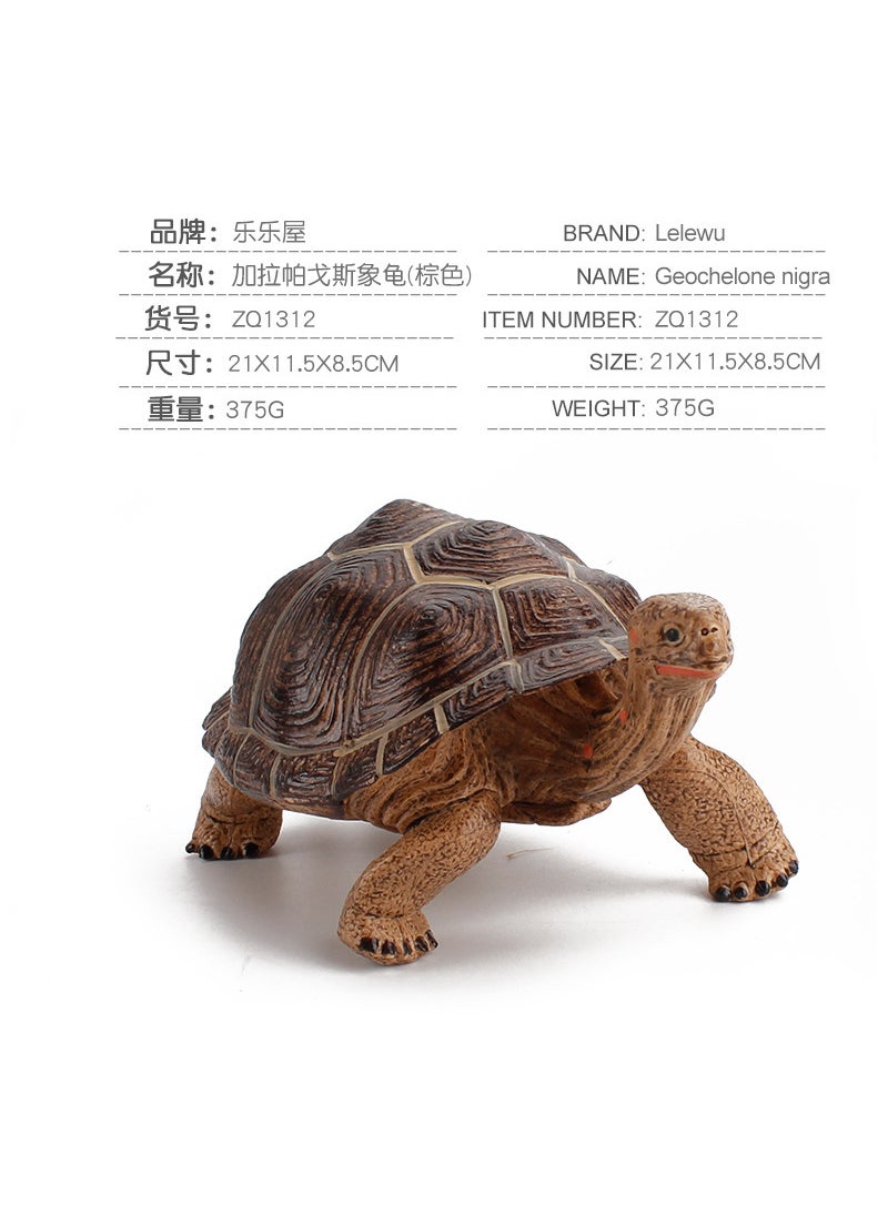 1 x 5 pcs Realistic Galapagos Tortoise Model Set ZQ1312 Galapagos elephant turtle (Brown) 375g