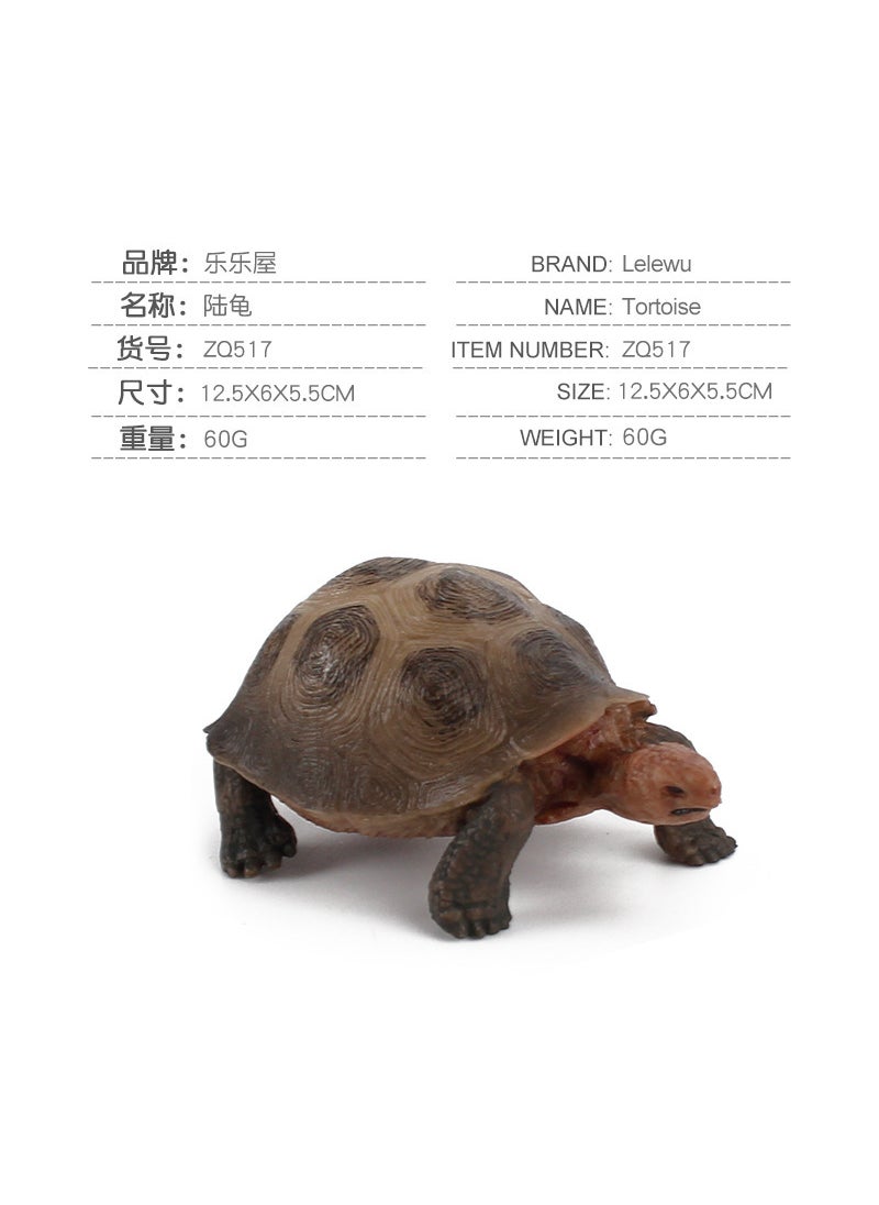 1 x 5 pcs Realistic Galapagos Tortoise Model Set ZQ517 tortoise 60g