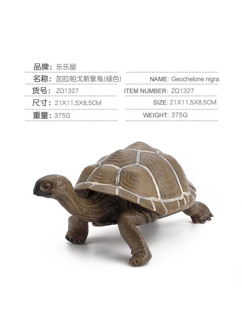 1 x 5 pcs Realistic Galapagos Tortoise Model Set ZQ1327 Galapagos elephant turtle (green) 375g