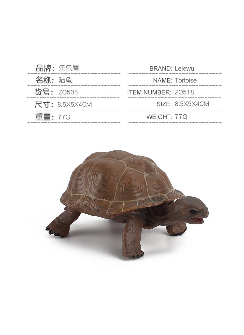 1 x 5 pcs Realistic Galapagos Tortoise Model Set ZQ508 tortoise 77g