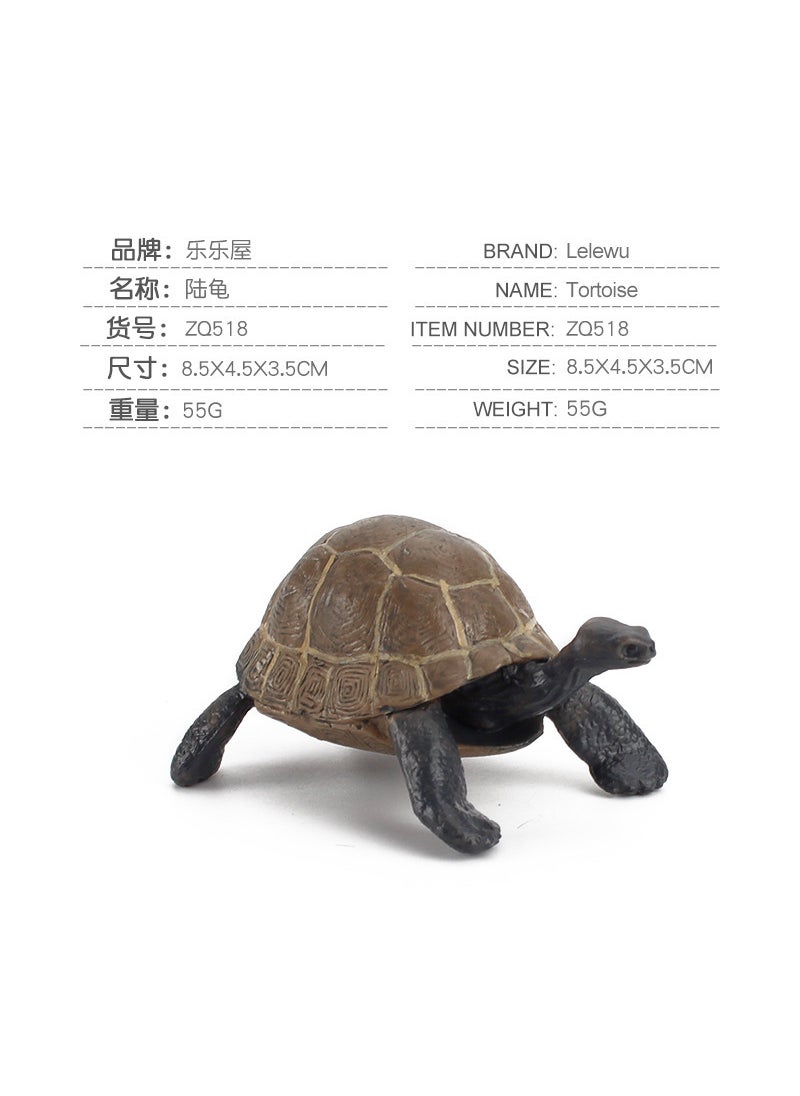 1 x 5 pcs Realistic Galapagos Tortoise Model Set ZQ518 tortoise 55g