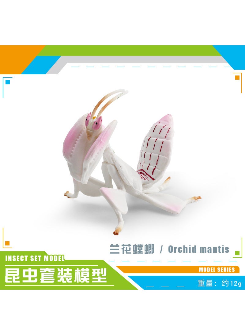 Lifelike Insect Models Decorative Ornaments PL127-2962 orchid mantis 12g