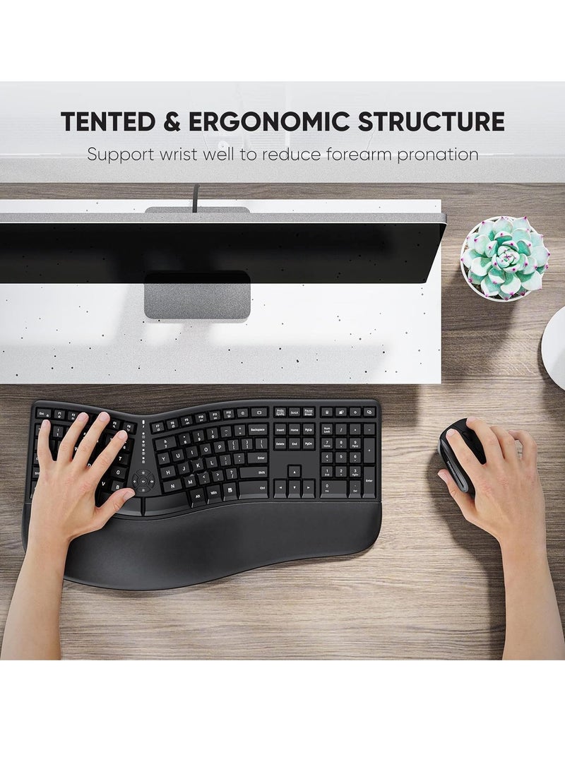 MEETION Director-C Ergonomic Wireless Keyboard and Mouse, Ergo Keyboard with Vertical Mouse, Split Arch Keyboard with Cushioned Wrist Palm Rest, Natural Typing Rechargeable Full Size, Windows/Mac/Computer/Laptop