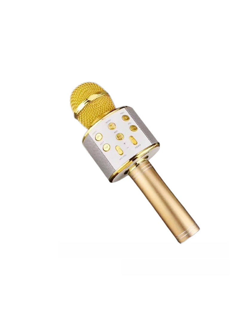 1 x 5 pcs WS858L Wireless Microphone LED Bluetooth Karaoke Speaker Gold 858L with lamp