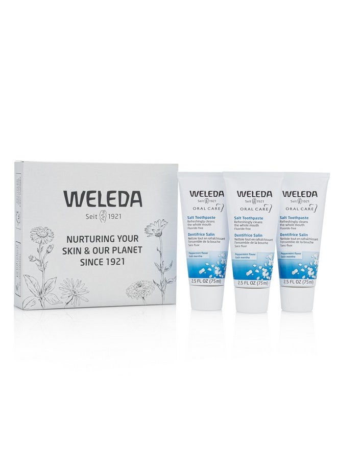 Natural Salt Toothpaste. 2.5 Fluid Ounce (Pack Of 3)