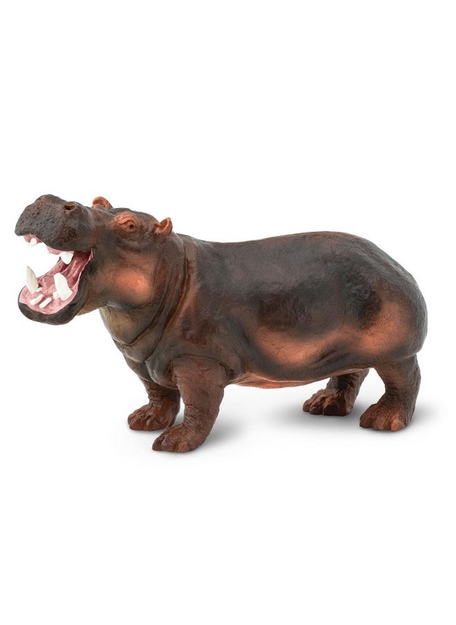 Hippopotamus Figurine - Lifelike, Hand-Painted 5