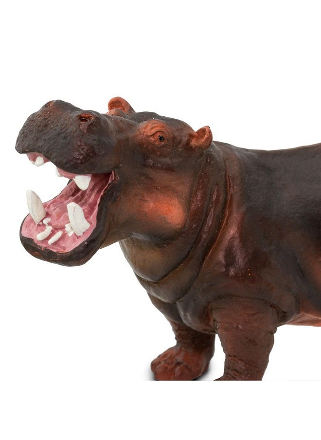 Hippopotamus Figurine - Lifelike, Hand-Painted 5