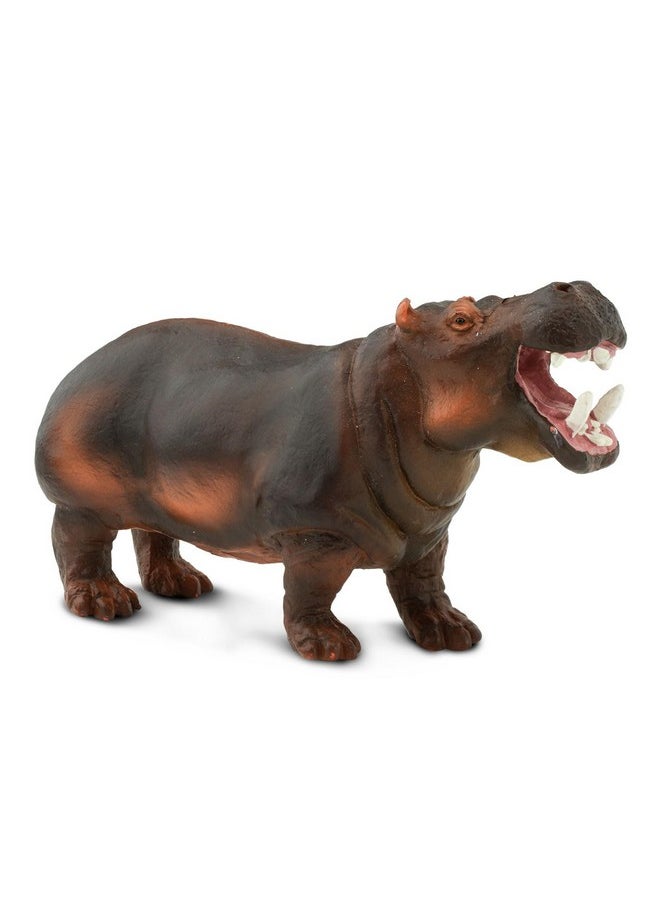 Hippopotamus Figurine - Lifelike, Hand-Painted 5