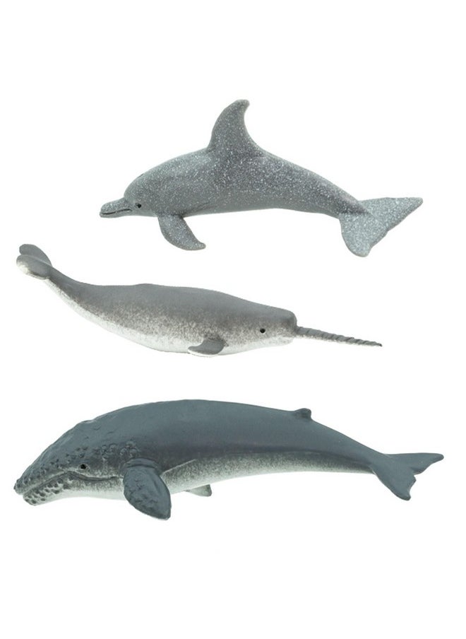 Whales & Dolphins Toob - 12 Mini Figurines: Blue, Beluga, Gray, Killer, Humpback & Sperm Whale, Bottlenose, Common, Spotted Dolphins, Narwhal - Educational Toy Boys, Girls & Kids Ages 3+