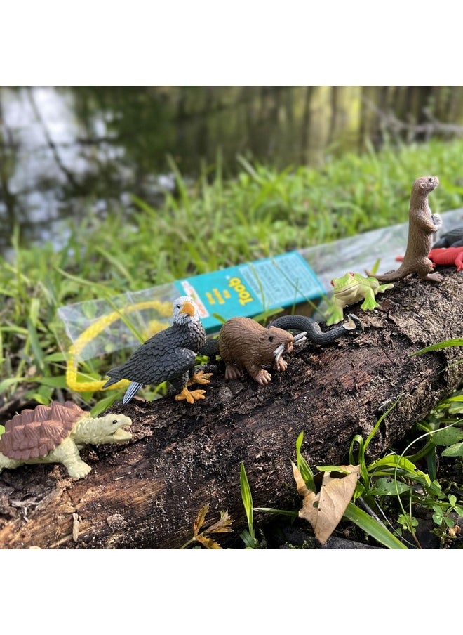 River Ecosystem Toob - Figurines Of Bald Eagle, Beaver, Alligator & More - Fun Educational Play Toy For Boys, Girls & Kids Ages 3+