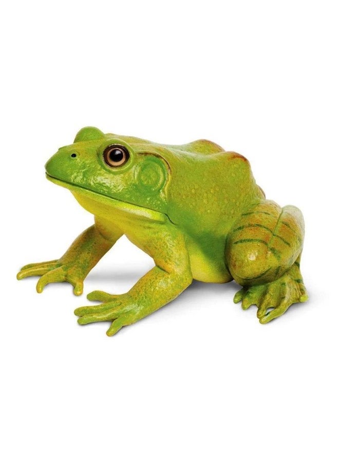 American Bullfrog Figurine - Realistic 4.75