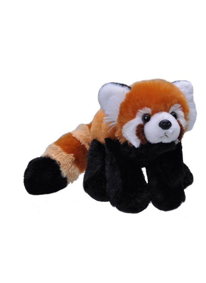 Red Panda Plush, Stuffed Animal, Plush Toy, Gifts For Kids, Cuddlekins, 8 Inches, Model:10876