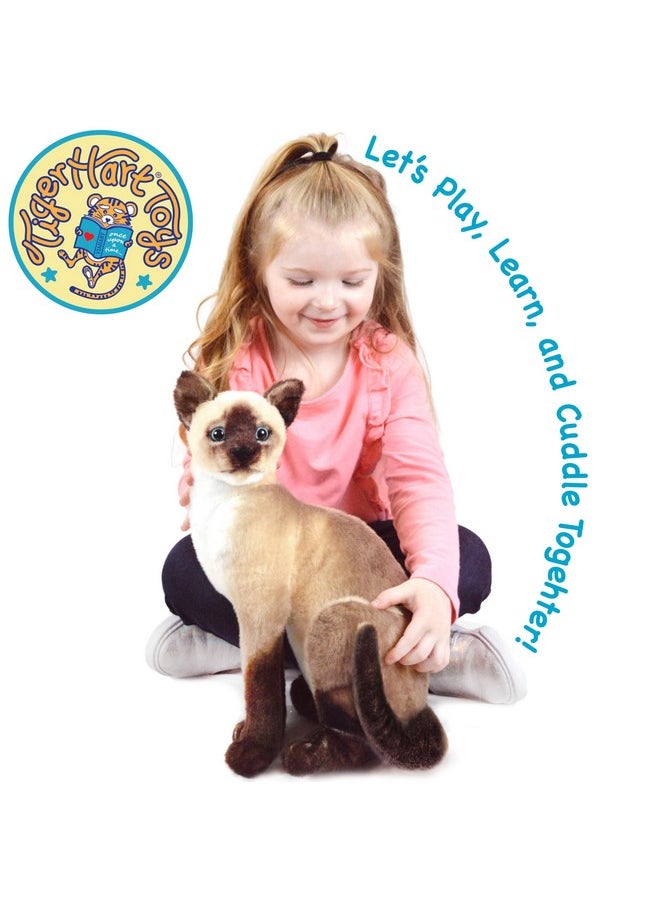 Stefan The Siamese Cat - 14 Inch Stuffed Animal Plush - By Tigerhart Toys